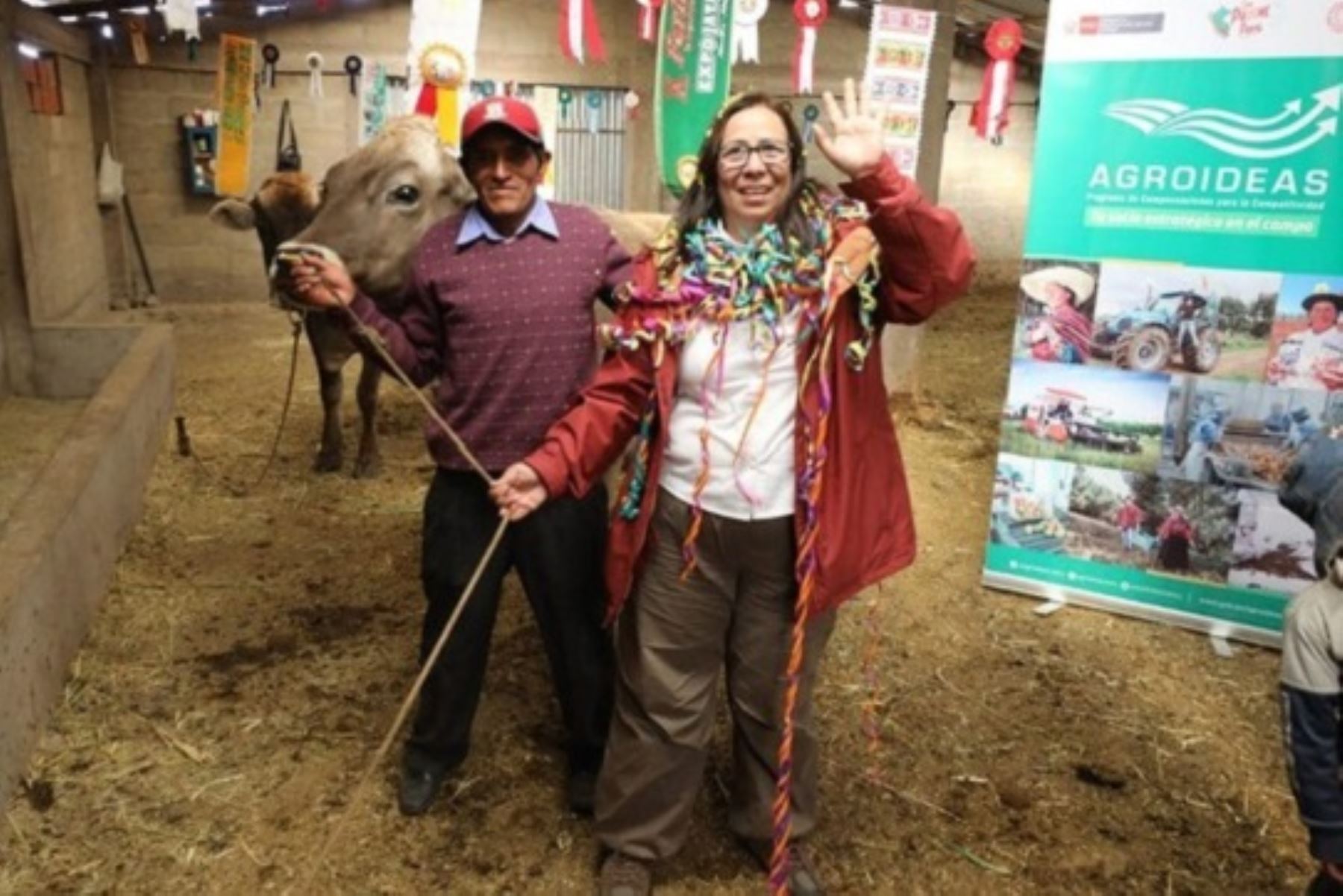Ministra de Desarrollo Agrario y Riego, Nelly Paredes, entregó más de 1,000 refugios para la ganadería en la región Puno. Foto: Cortesía.