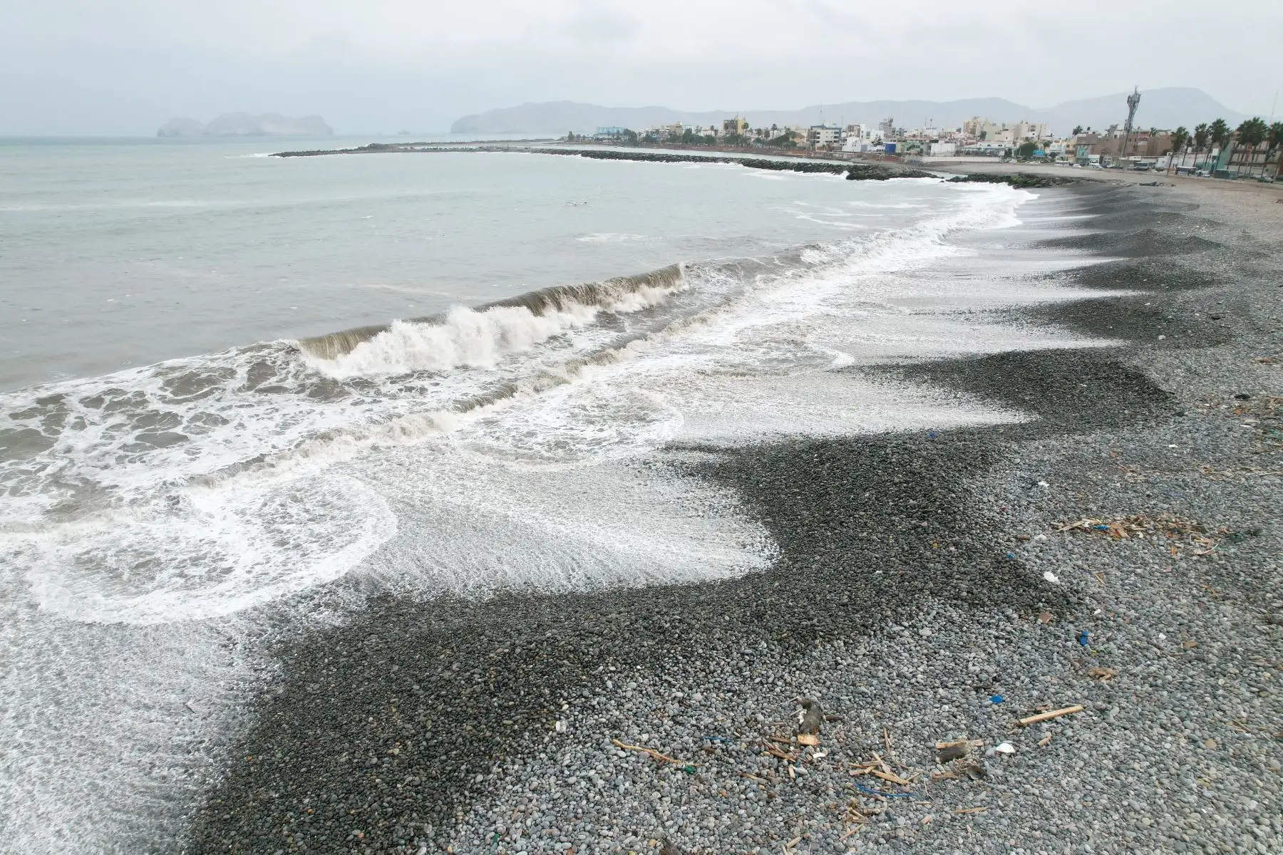 Oleaje anómalo en la costa peruana provoca el cierre de la Costa Verde en el Callao. Se observaron lobos marinos muertos varados en las playas de La Punta. Foto: ANDINA/Daniel Bracamonte