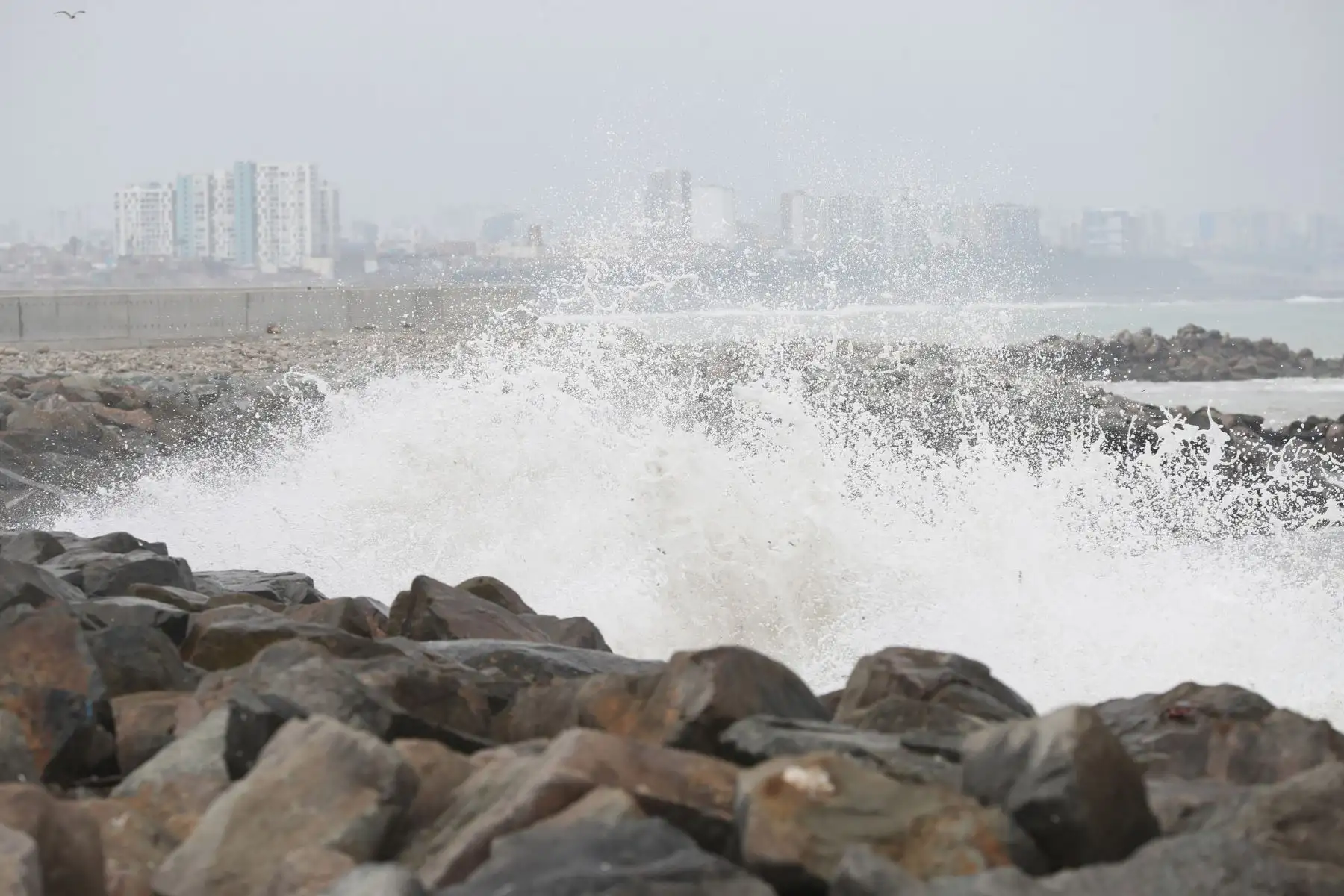 Oleaje anómalo en la costa peruana provoca el cierre de la Costa Verde en el Callao. Se observaron lobos marinos muertos varados en las playas de La Punta. Foto: ANDINA/Daniel Bracamonte