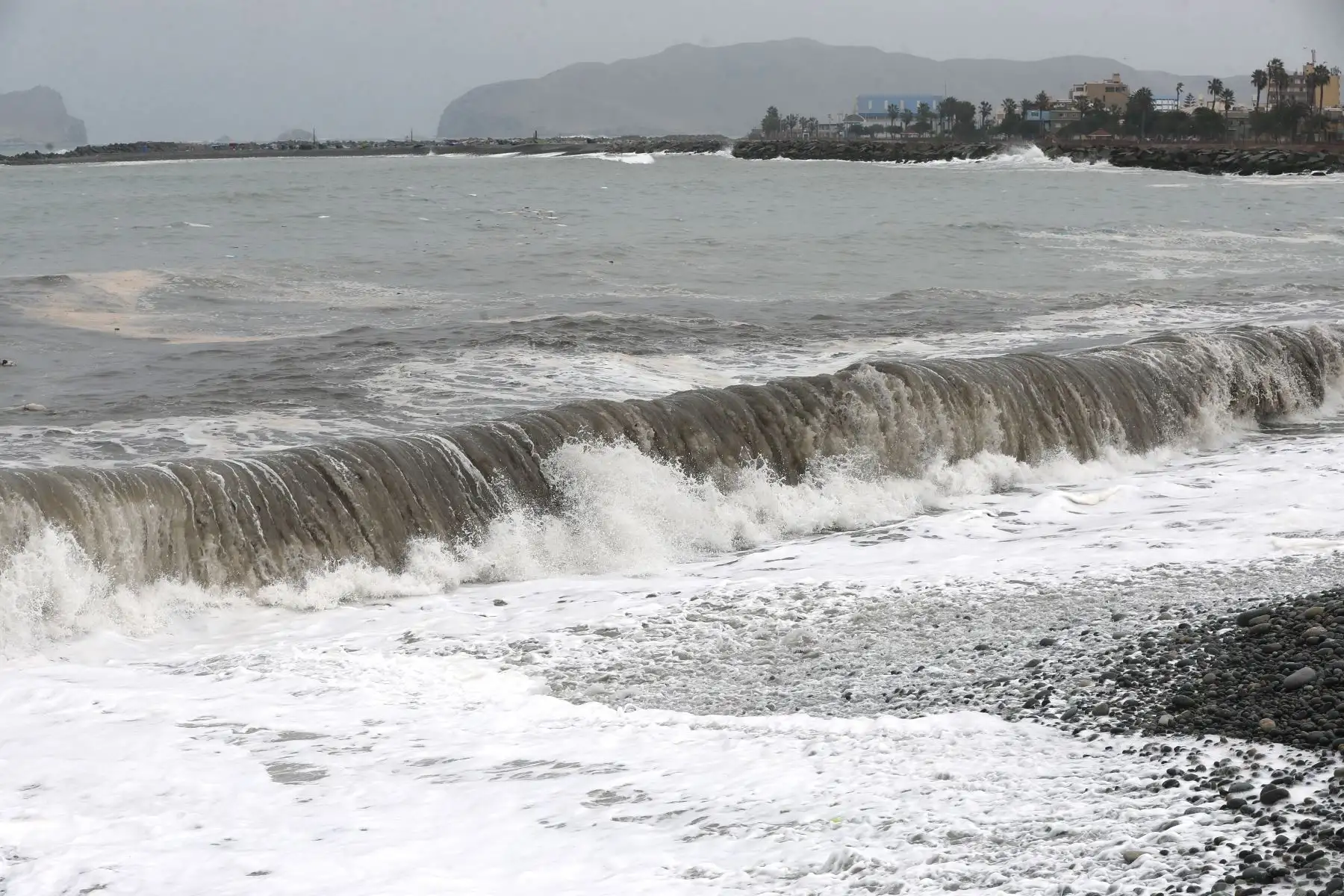 Oleaje anómalo en la costa peruana provoca el cierre de la Costa Verde en el Callao. Se observaron lobos marinos muertos varados en las playas de La Punta. Foto: ANDINA/Daniel Bracamonte