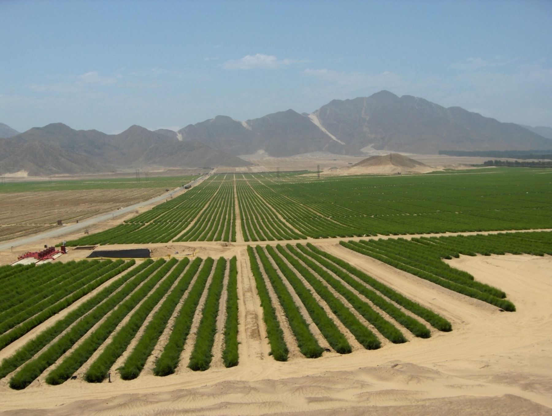 Proyecto de Irrigación Chavimochic en la región La Libertad. ANDINA/Difusión