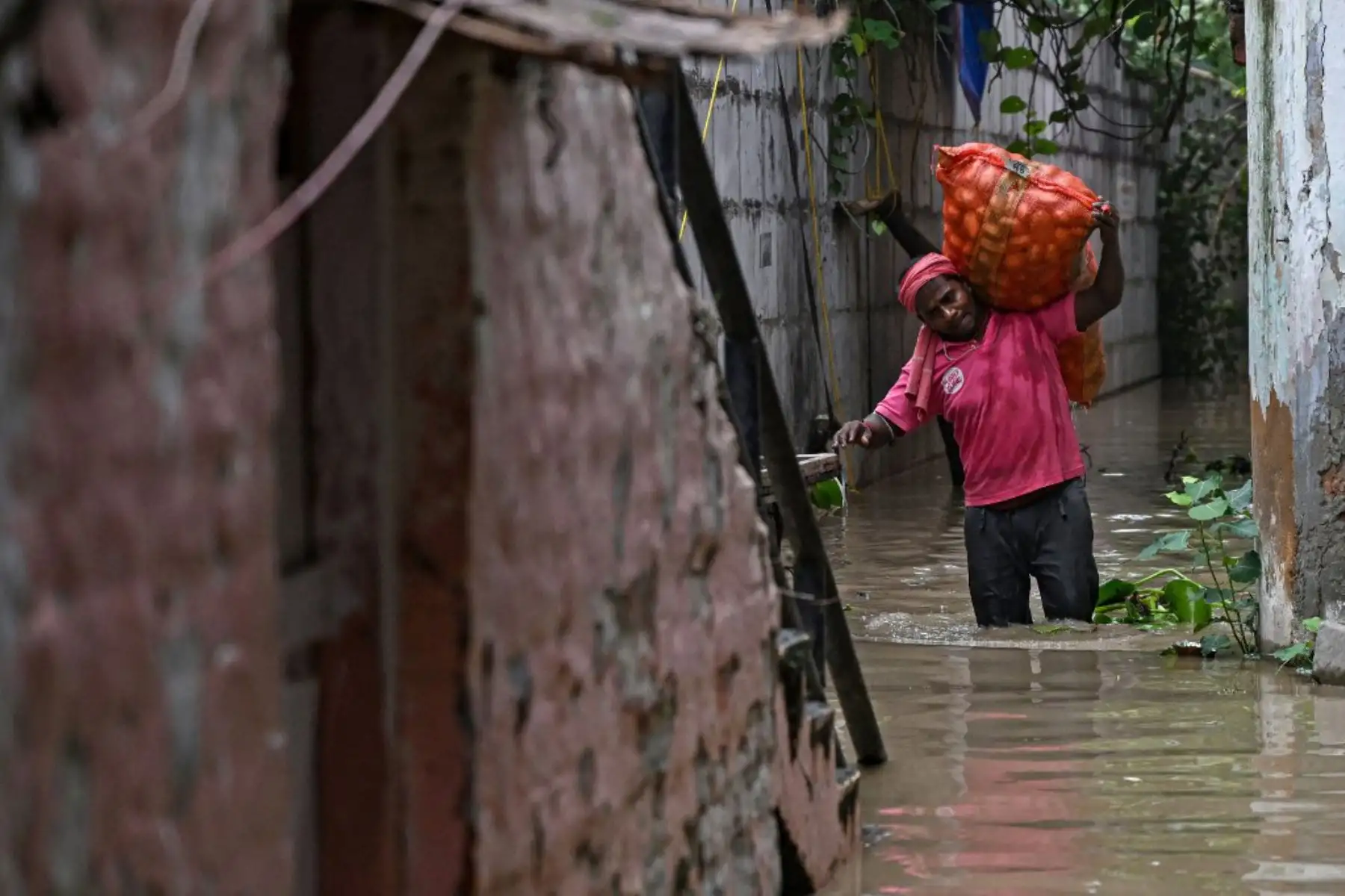 Un hombre que lleva un saco de verduras camina por una zona residencial inundada cerca de las orillas del río Yamuna después de que se desbordara debido a las lluvias monzónicas, en Nueva Delhi. Foto: AFP