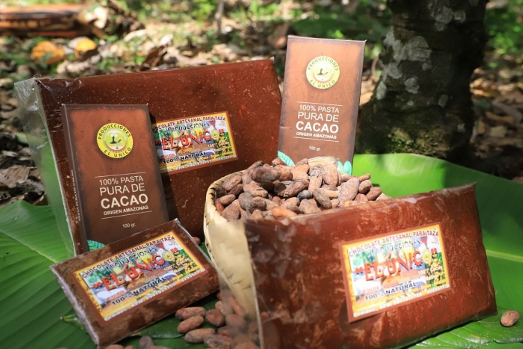 Amazonas presentará lo mejor de su cacao en XIV edición del Salón del Cacao y Chocolate