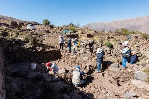 Hallazgos se hicieron en los sectores Sinkuna Kancha, Andenes y Hornopata del parque arqueológico de Tipón, región Cusco. Foto: ANDINA/Difusión