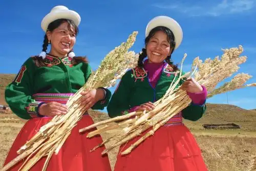 Recursos del fondo Agroperú canalizados por Agrobanco benefician a pequeños productores agrarios de diversas regiones. Foto: Agrobanco/Difusión.