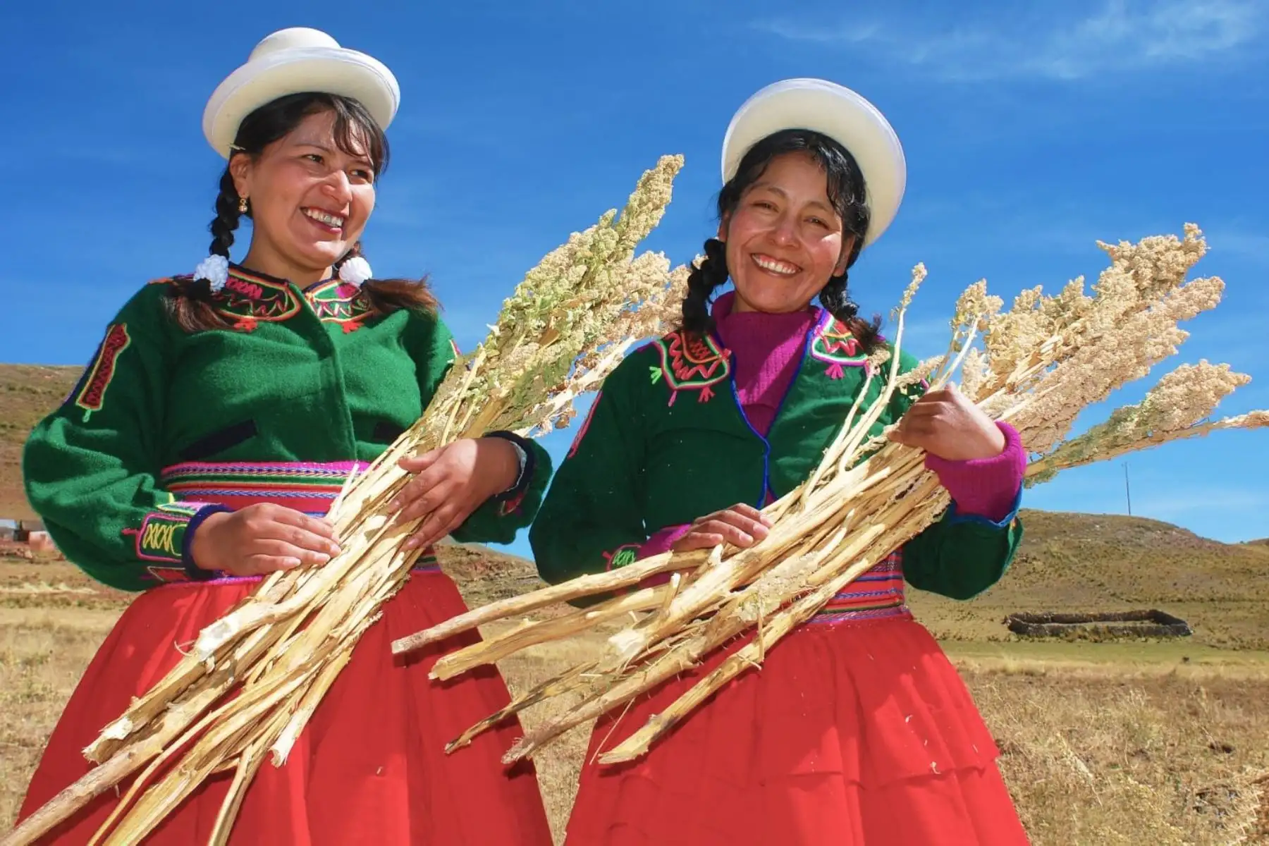 Recursos del fondo Agroperú canalizados por Agrobanco benefician a pequeños productores agrarios de diversas regiones. Foto: Agrobanco/Difusión.