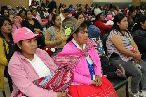 Áncash se convierte en la segunda región del país en utilizar las pruebas moleculares para la detección del cáncer de cuello uterino. Foto: ANDINA/Difusión