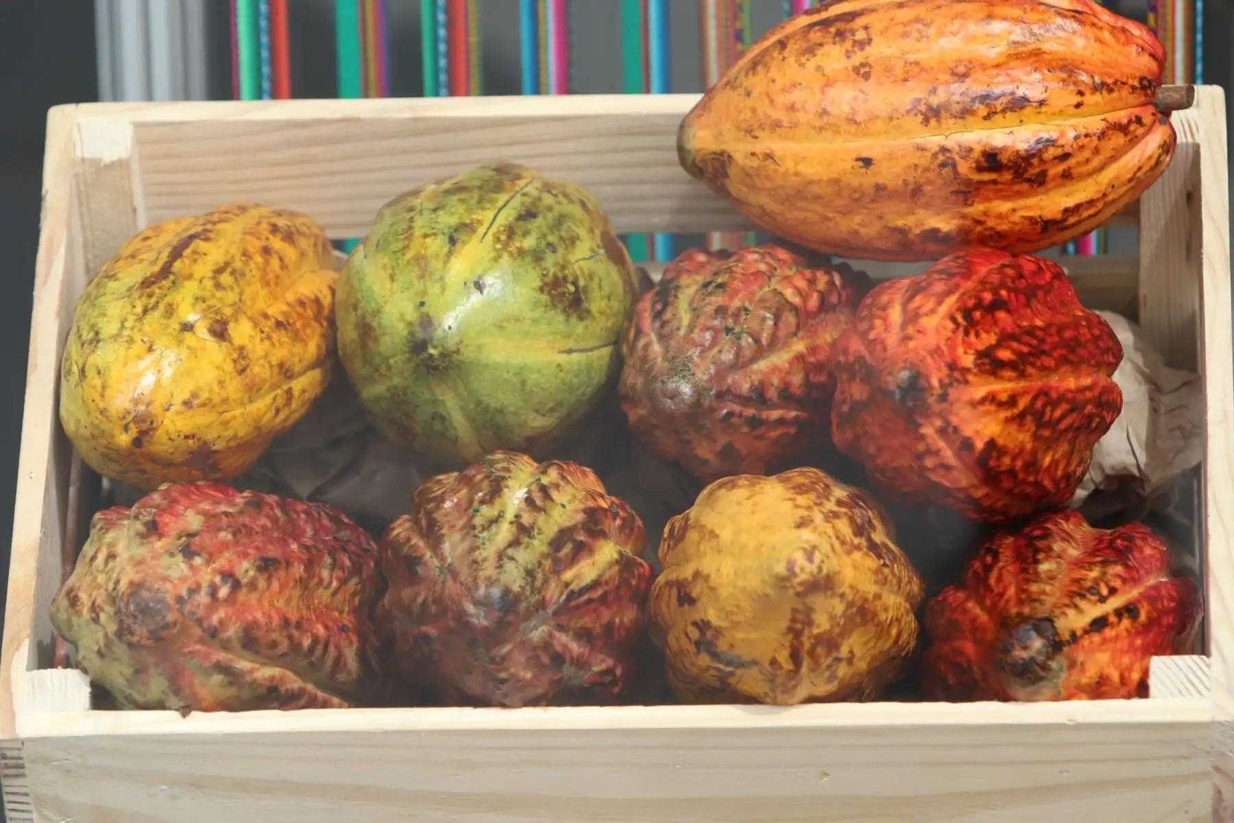 Centro de Convenciones Lima, se inaugura el Salón del Cacao y Chocolate 2023, en ceremonia que marca el inicio de su alianza con el Salon Du Chocolat Paris para formar parte de la mayor red mundial de salones de Chocolate.FOTO:ANDINA/Hector Vinces.