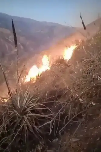Senamhi alerta que en diversas regiones del país existen esta semana condiciones atmosféricas favorables para la propagación de incendios forestales. ANDINA/Difusión