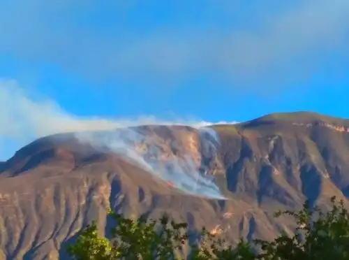 Un incendio forestal destruye 25 hectáreas de cobertura vegetal en la provincia de Sihuas, región Áncash, reportó el COER. ANDINA/Difusión