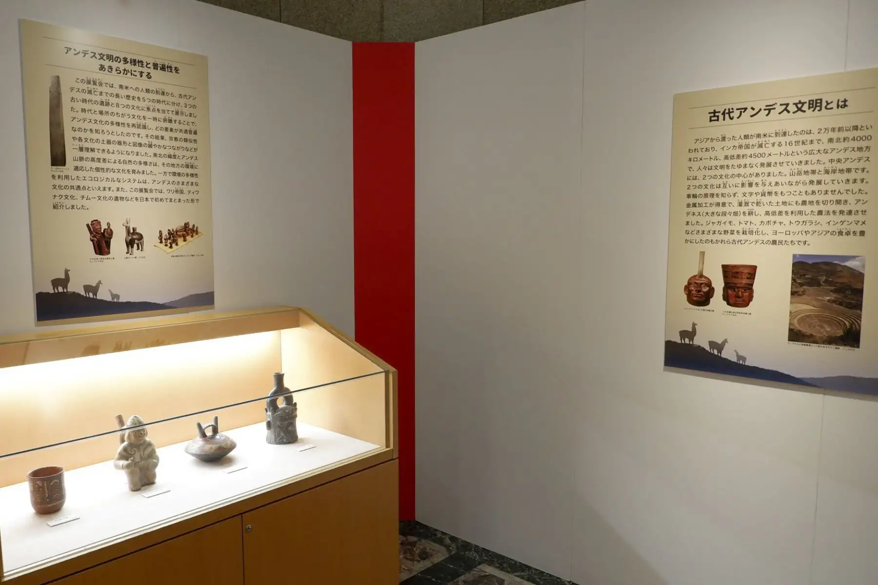 El 11 de julio se inauguró en Tokio la exhibición especial "150 años de amistad: la civilización andina y el Museo Nacional de Naturaleza y Ciencia de Japón”.
La exhibición estará abierta al público del 11 de julio al 20 de agosto en el Museo Nacional de Naturaleza y Ciencia de Japón. Se trata de la actividad cultural central en las celebraciones por el sesquicentenario de las relaciones diplomáticas entre ambos países.
Foto: Embajada del Perú en Japón