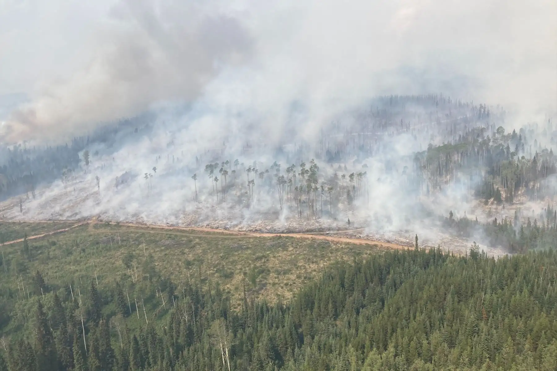Más de 10 millones de hectáreas resultaron incineradas por incendios forestales este año en Canadá, una cifra muy por encima del último récord que tenía el país norteamericano y que seguirá aumentando en las próximas semanas, según datos gubernamentales divulgados el sábado.
Foto: AFP