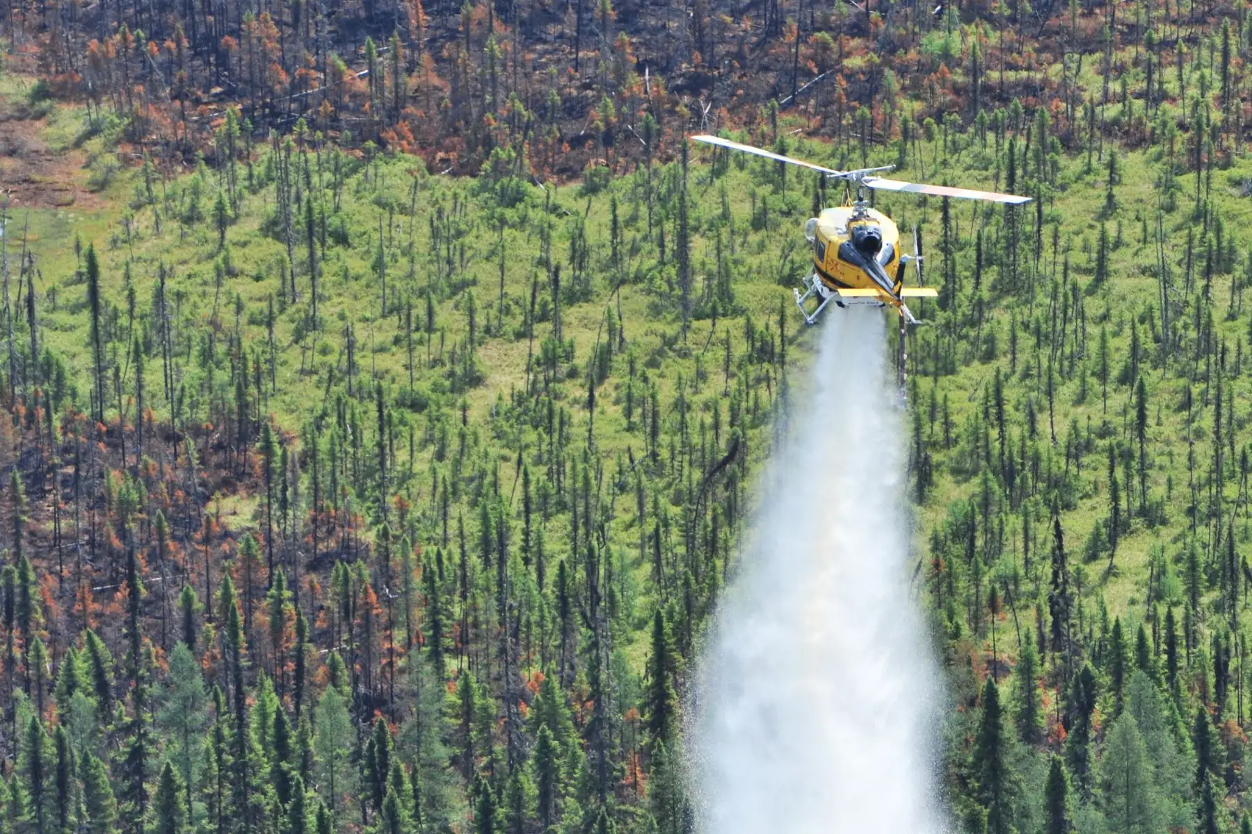 El récord anterior de todos los tiempos de áreas quemadas se remonta a 1989 con 7,3 millones de hectáreas, según cifras nacionales del Centro Interagencial Canadiense de Incendios Forestales (CIFFC).
Foto: AFP