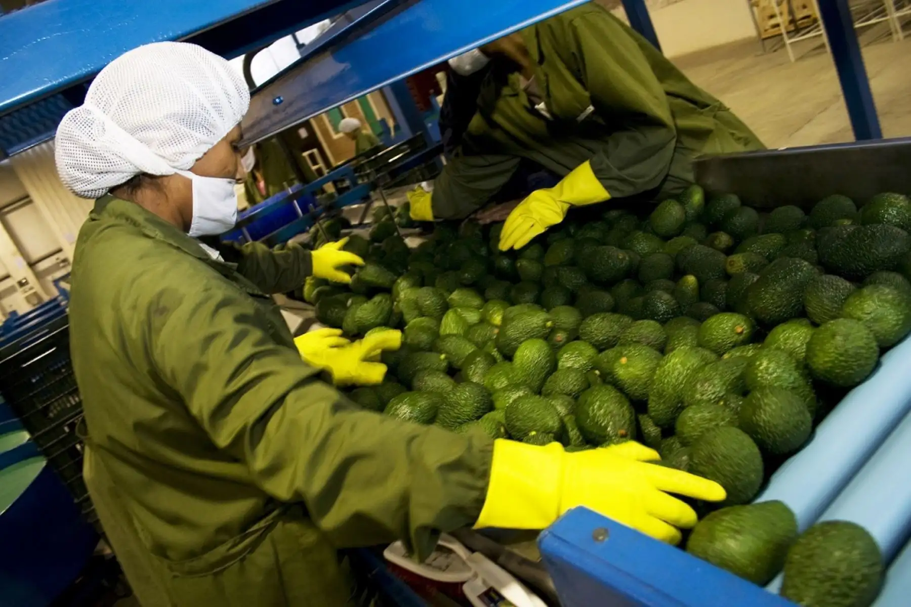 Sector continúa impulsando desarrollo exportador.