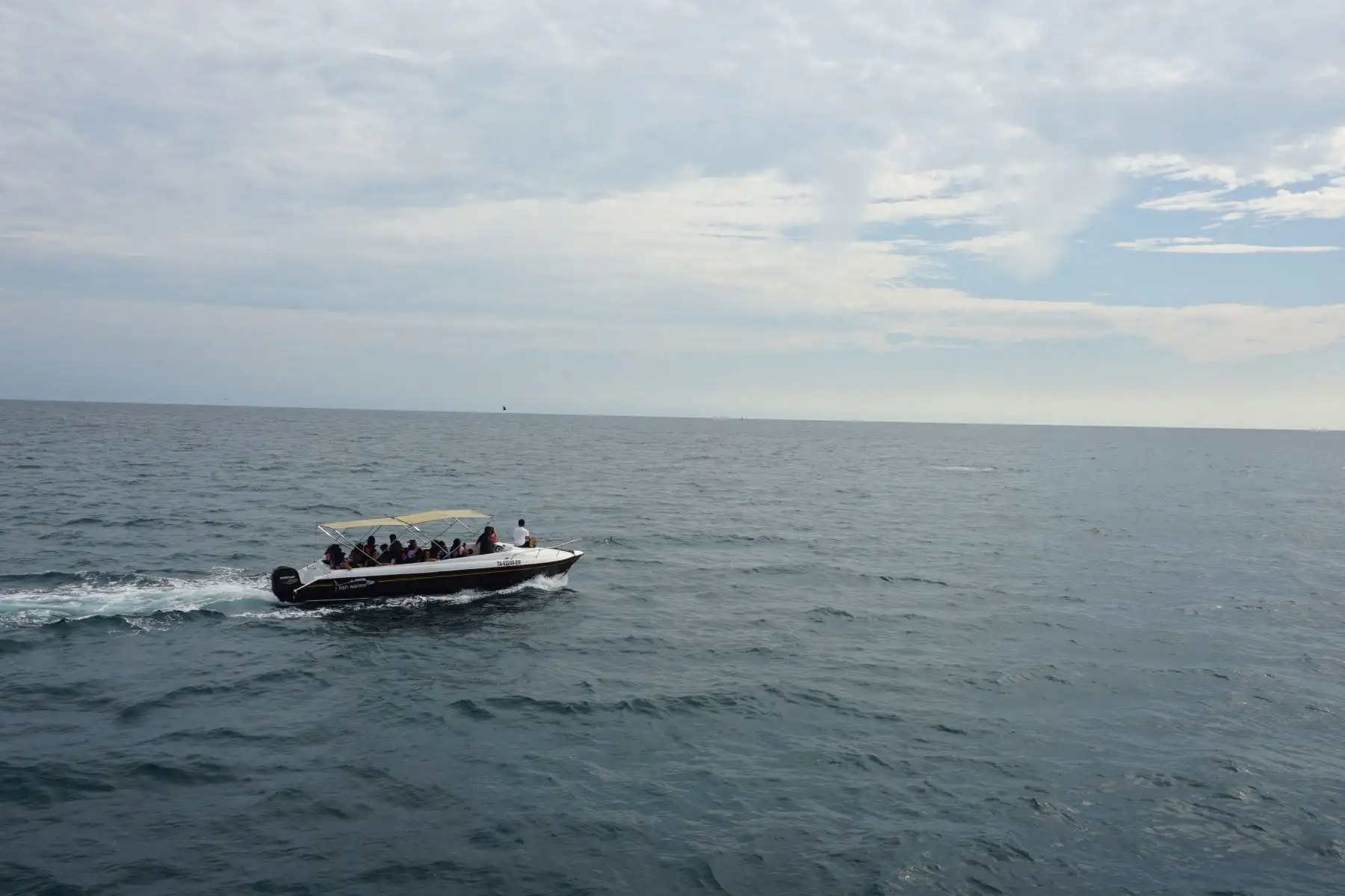 Avistamiento de ballenas en Playas del norte: temporada generaría impacto económico de S/ 18 millones Foto:Difusión