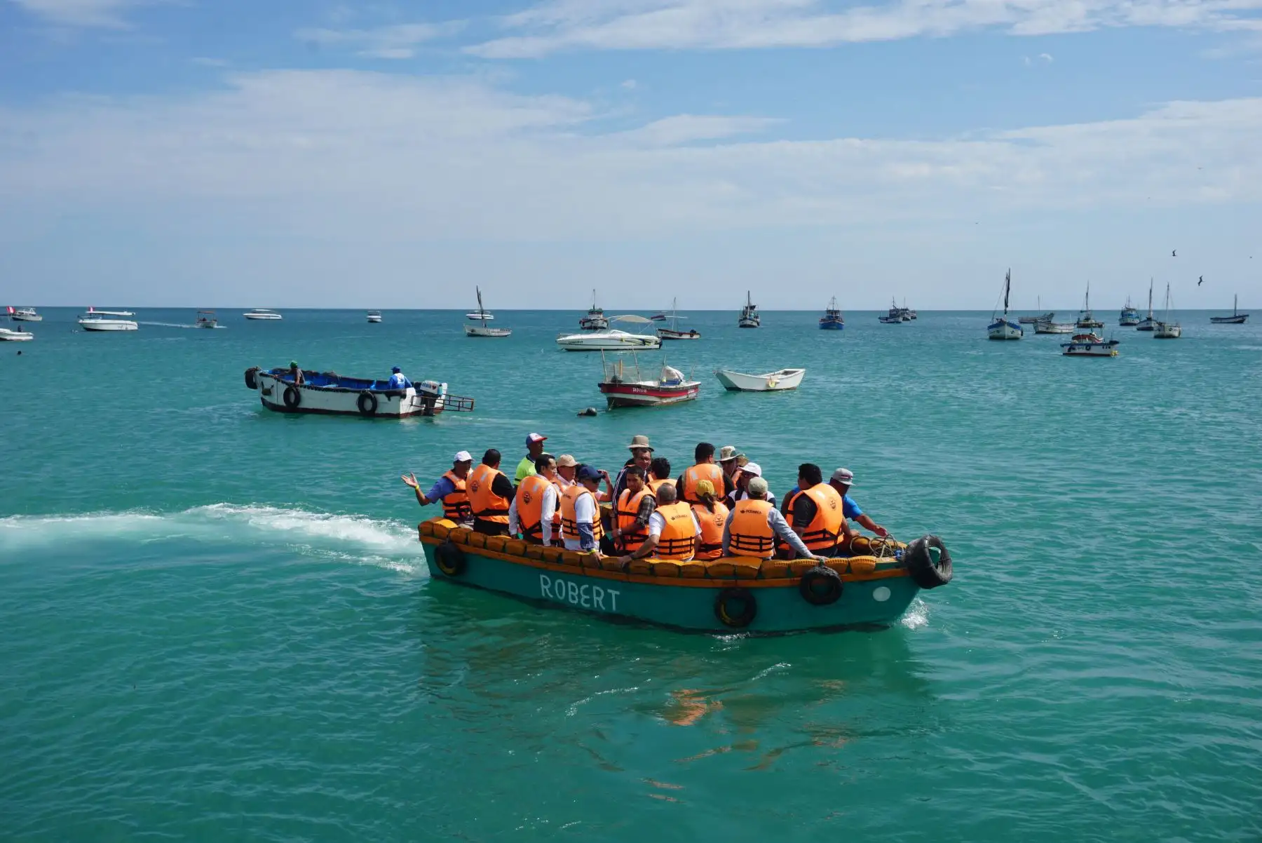 Avistamiento de ballenas en Playas del norte: temporada generaría impacto económico de S/ 18 millones Foto:Difusión