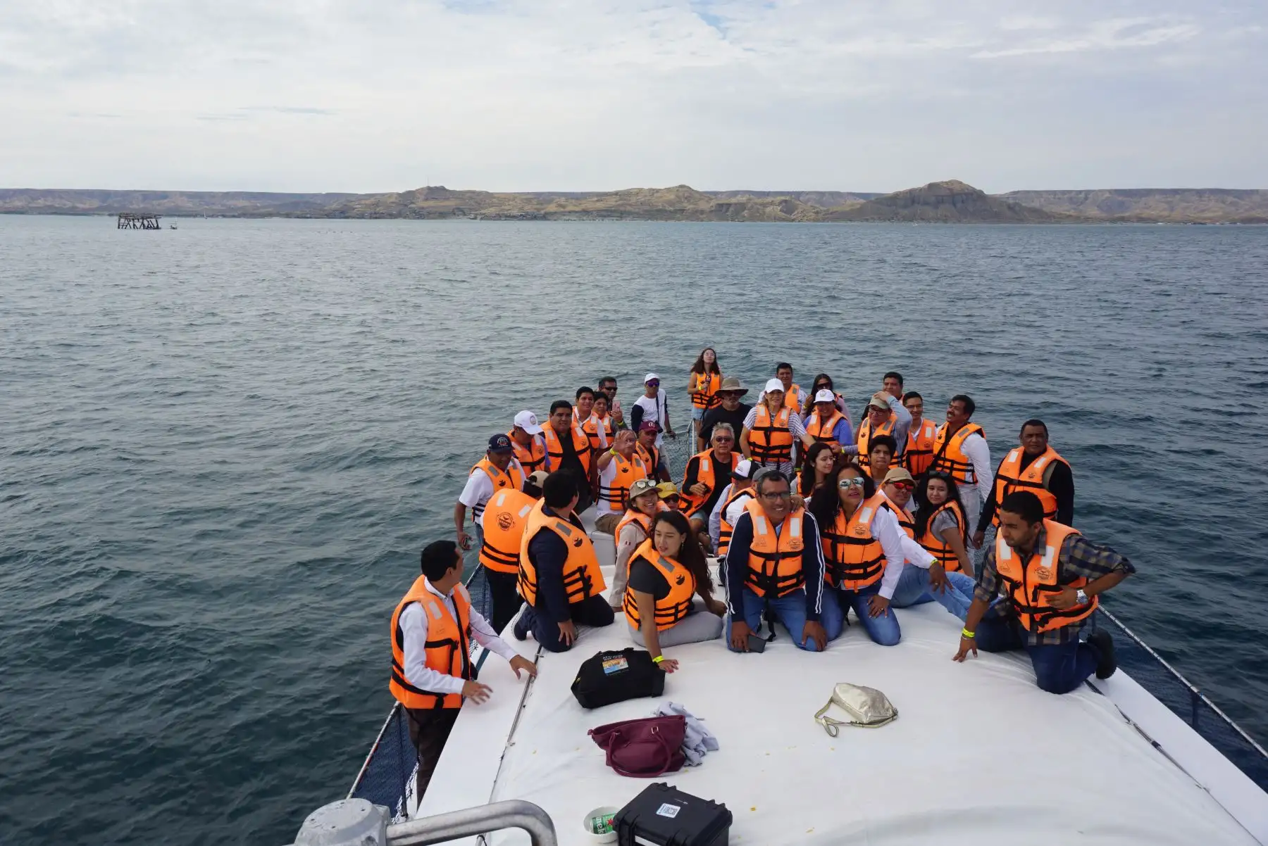 Avistamiento de ballenas en Playas del norte: temporada generaría impacto económico de S/ 18 millones Foto:Difusión