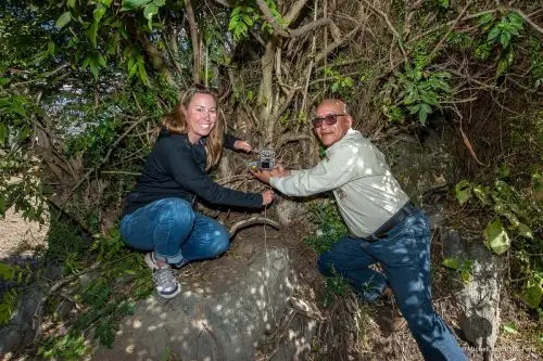 Gracias a los estudios en el santuario de Machu Picchu, mediante cámaras trampa, se han identificado hasta 21 individuos diferentes de osos y otras especies. Foto: ANDINA/Sernanp
