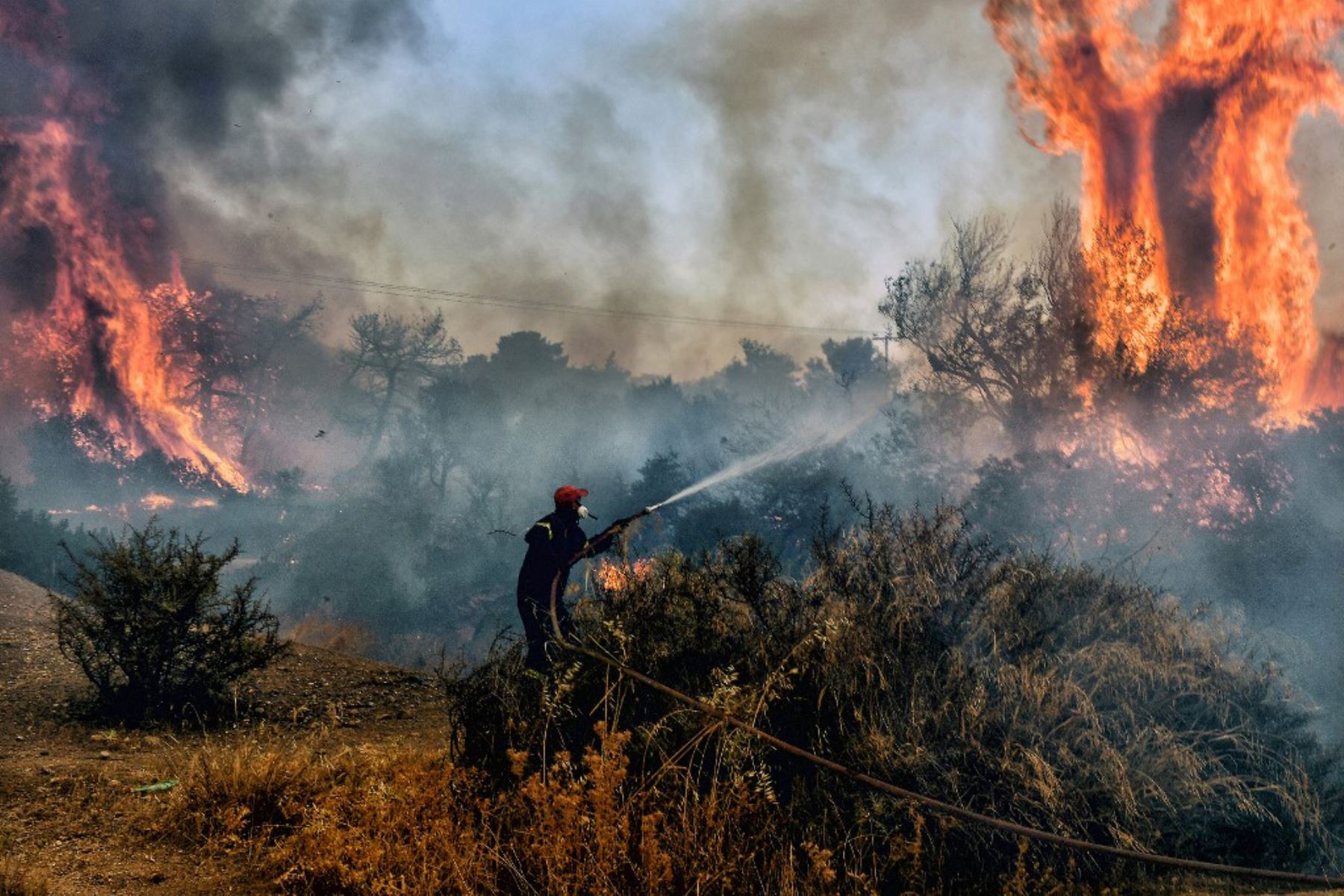 Los incendios forestales en Canadá generaron un récord de emisiones de carbono. AFP