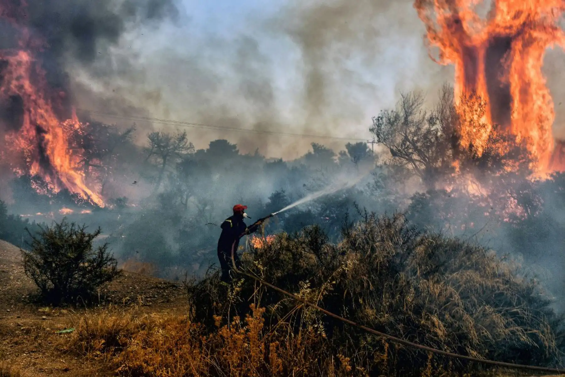 Un bombero apaga las llamas de un incendio forestal en el asentamiento de Panorama cerca de Agioi Theodori, a unos 70 kilómetros al oeste de Atenas. Foto: AFP