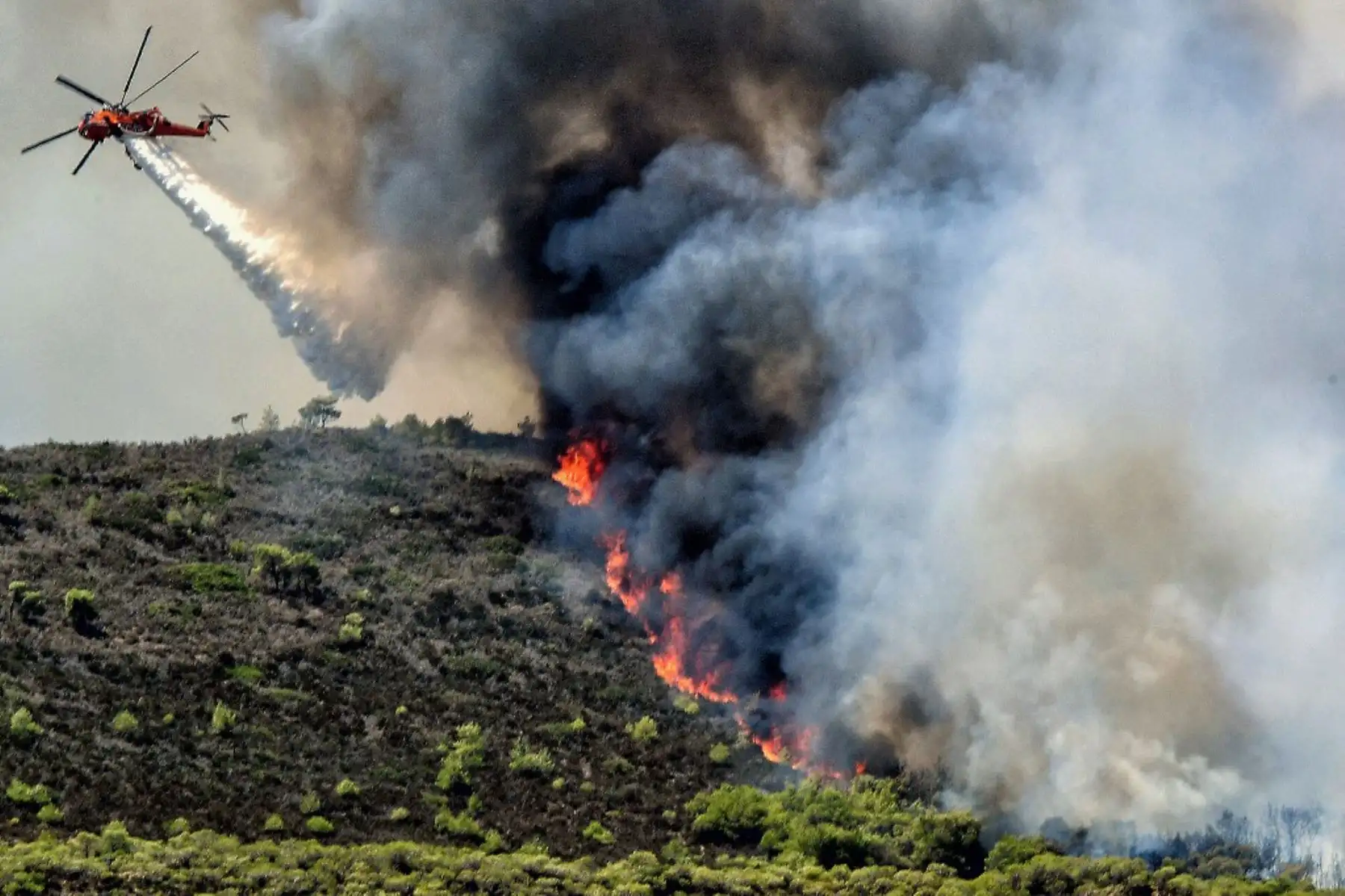 Un helicóptero de extinción de incendios Sikorsky arroja agua sobre un incendio forestal cerca de Agioi Theodori, a unos 70 km al oeste de Atenas. Foto: AFP