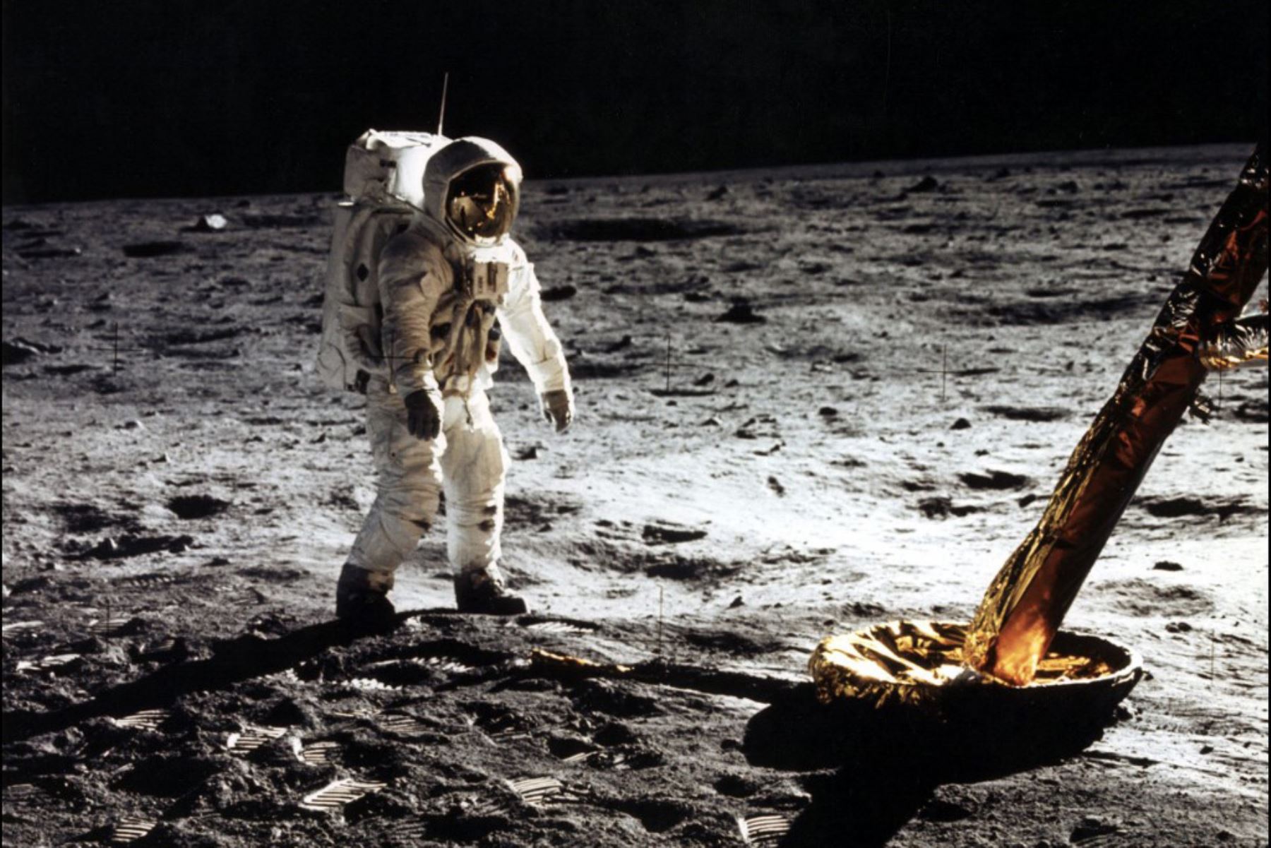 Esta foto tomada del astronauta Edwin "Buzz" E. Aldrin Jr., piloto del módulo lunar caminando sobre la superficie de la luna cerca de la pata del módulo lunar (ML) "Eagle" durante la actividad extravehicular (EVA) del Apolo 11 . El astronauta Neil A. Armstrong tomó esta fotografía con una cámara de superficie lunar de 70 mm. Foto de la NASA / AFP