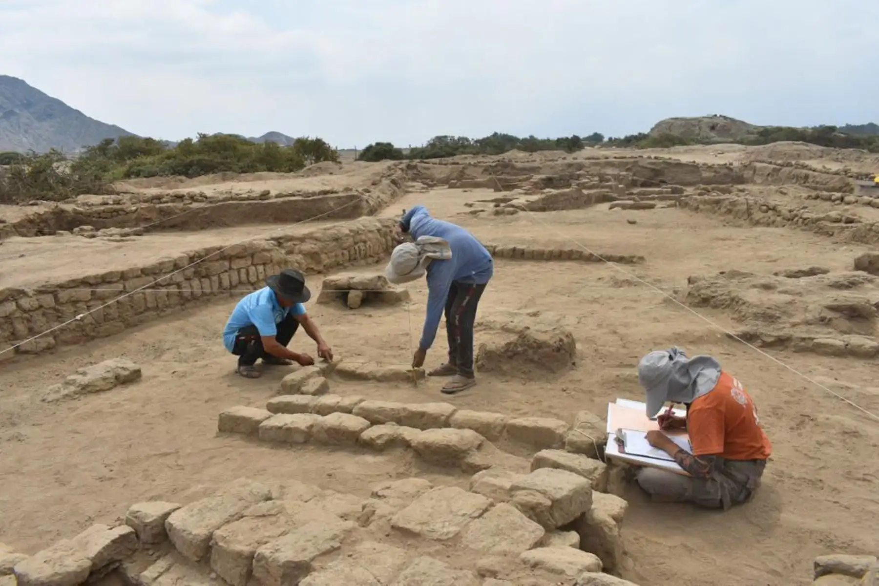 Un importante núcleo urbano de intercambio comercial de productos procedentes de la costa, sierra y selva, que a la vez funcionó como centro religioso de la cultura Moche, al que llegaban peregrinos de diversas partes del antiguo Perú, ha sido descubierto por integrantes del Programa Arqueológico Chicama (PRACH) en recientes excavaciones realizadas en un sector del sito arqueológico Licapa II, ubicado en el valle de Chicama, región La Libertad. Foto: Programa Arqueológico Chicama
