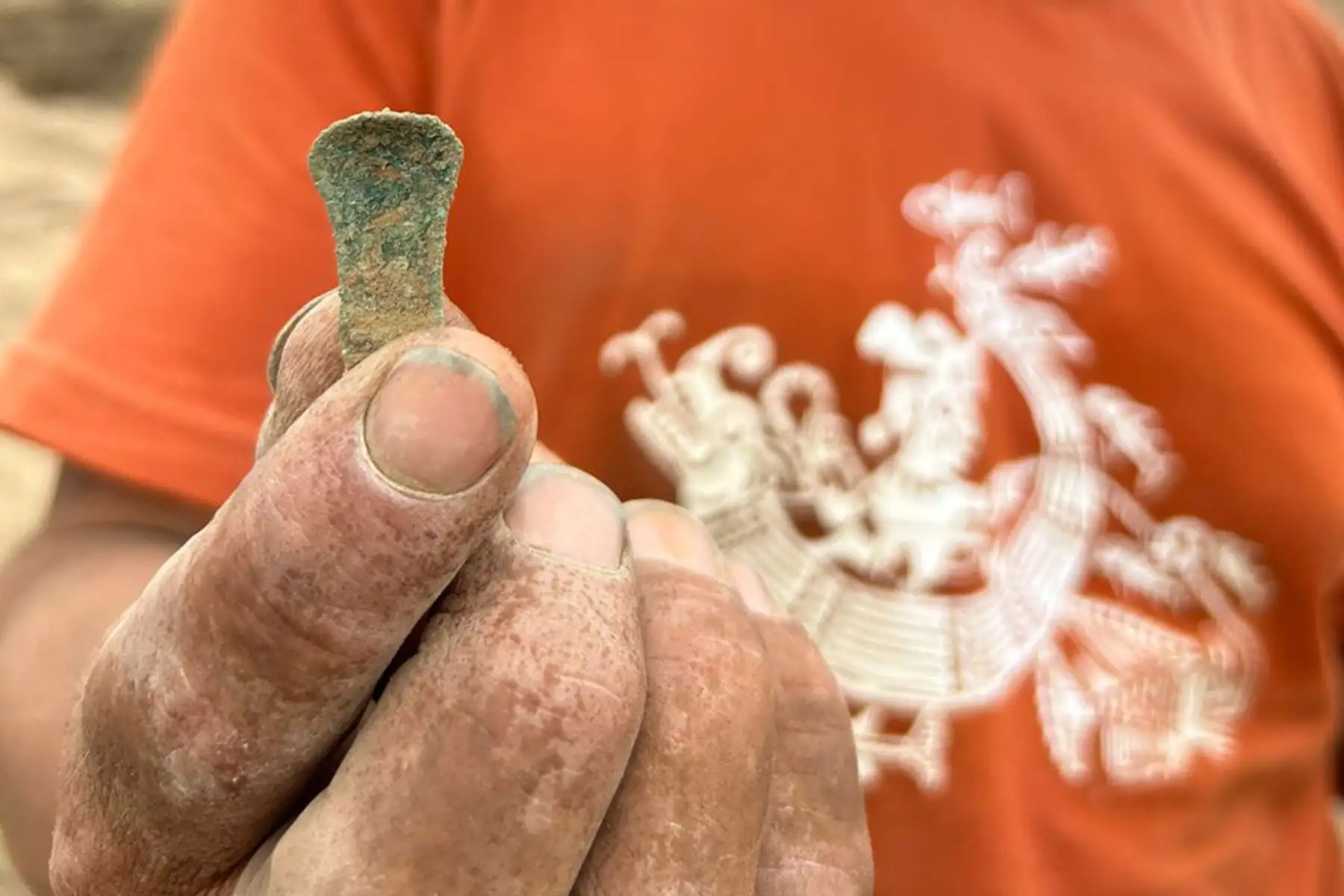 En la zona de excavación, que comprende un área de 512 metros cuadrados aproximadamente, se descubrió ocho espacios que funcionaron como cocinas o centros de preparación de alimentos con 16 vasijas de cerámica completas, así como un centenar de fragmentos de cerámica con iconografía Moche, elementos suntuarios metálicos y textiles que constituyen bienes de producción especializada y que tienen una antigüedad de unos 1,400 años. Foto: Programa Arqueológico Chicama