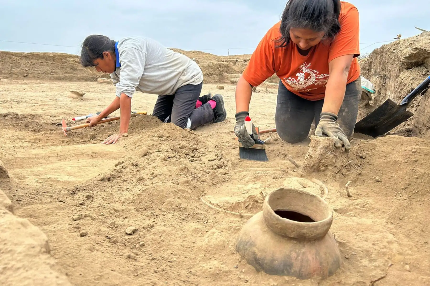 En la zona de excavación, que comprende un área de 512 metros cuadrados aproximadamente, se descubrió ocho espacios que funcionaron como cocinas o centros de preparación de alimentos con 16 vasijas de cerámica completas, así como un centenar de fragmentos de cerámica con iconografía Moche, elementos suntuarios metálicos y textiles que constituyen bienes de producción especializada y que tienen una antigüedad de unos 1,400 años. Foto: Programa Arqueológico Chicama