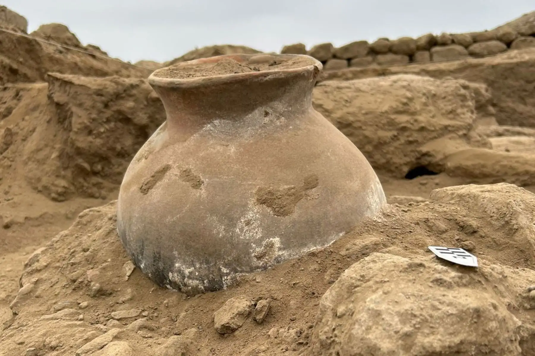 Desde el año 2021, se viene desarrollando excavaciones en el sitio Moche de Licapa II, ubicado en la margen norte del valle de Chicama, el mismo que forma parte del distrito de Casa Grande y se encuentra a escasos 15 minutos del centro poblado de Garrapón.  Foto: Programa Arqueológico Chicama