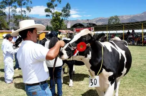 La Feria Fongal es uno de los atractivos turísticos que ofrece Cajamarca durante este feriado largo por Fiestas Patrias. Foto: Eduard Lozano