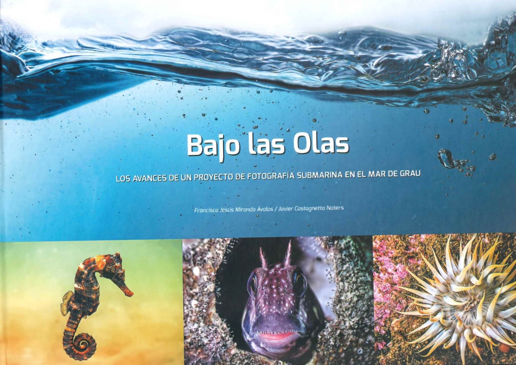 Presentan libro hito con fotografías subacuáticas de la biodiversidad marina del Perú.