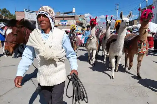 En el distrito huancaíno de Sapallanga se desarrolló la III Feria Tradicional de Trueque. Foto: ANDINA/Cortesía Petro Tinoco