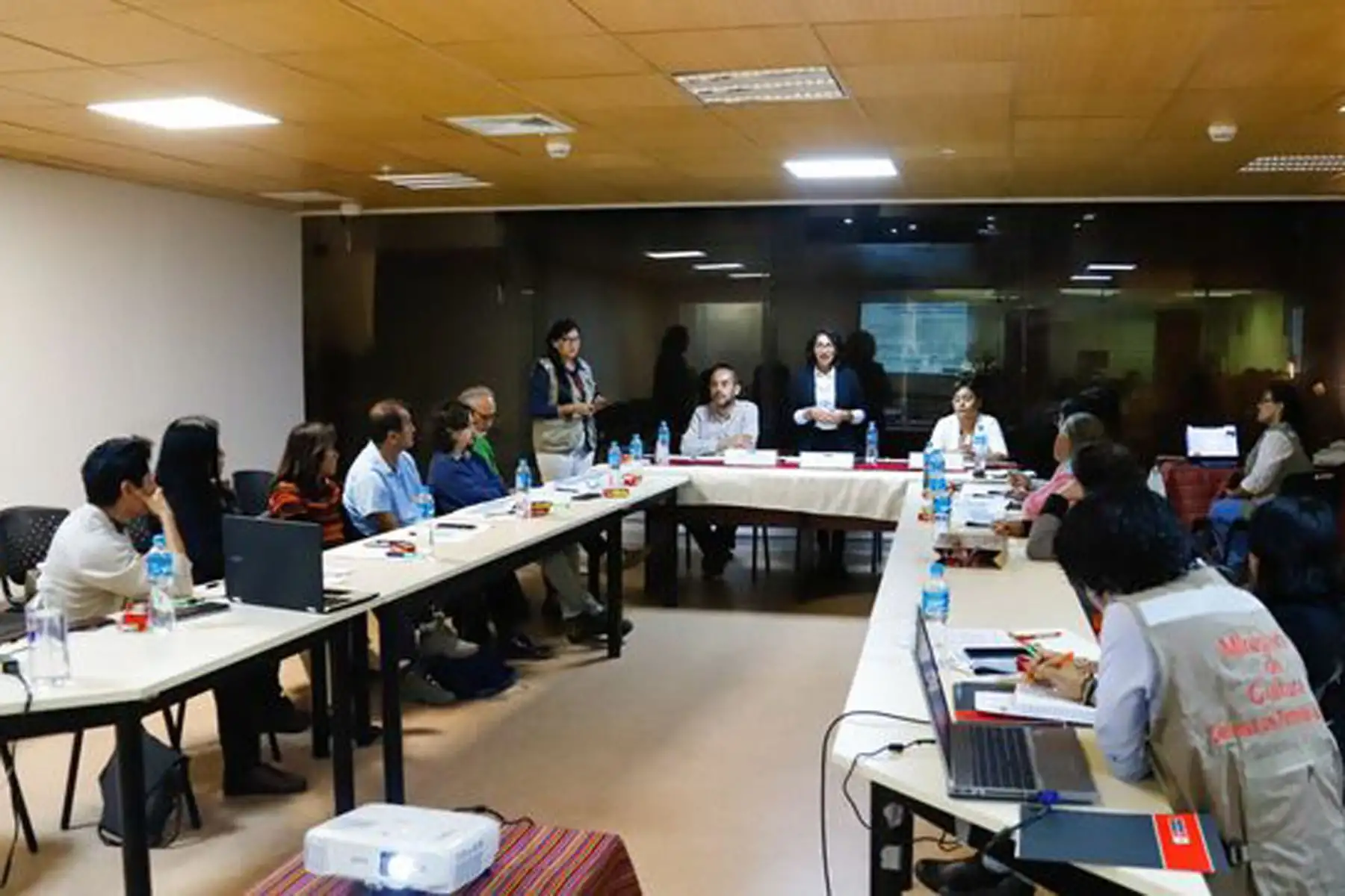 Reunión de la Ministra de Cultura con representantes de asociaciones culturales regionales. ANDINA/Difusión