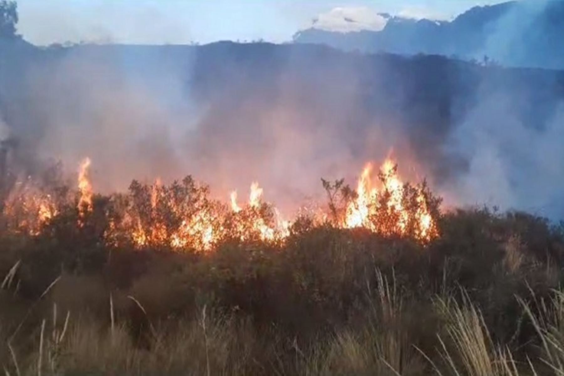 La zona afectada por el fuego se encuentra dentro del parque nacional Huascarán, uno de los principales atractivos turísticos de la sierra de Áncash. Foto: ANDINA/Archivo