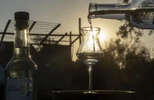 Una nueva investigación ratifica el origen peruano del pisco, como lo ratifican documentos históricos de los primeros años de la colonia.