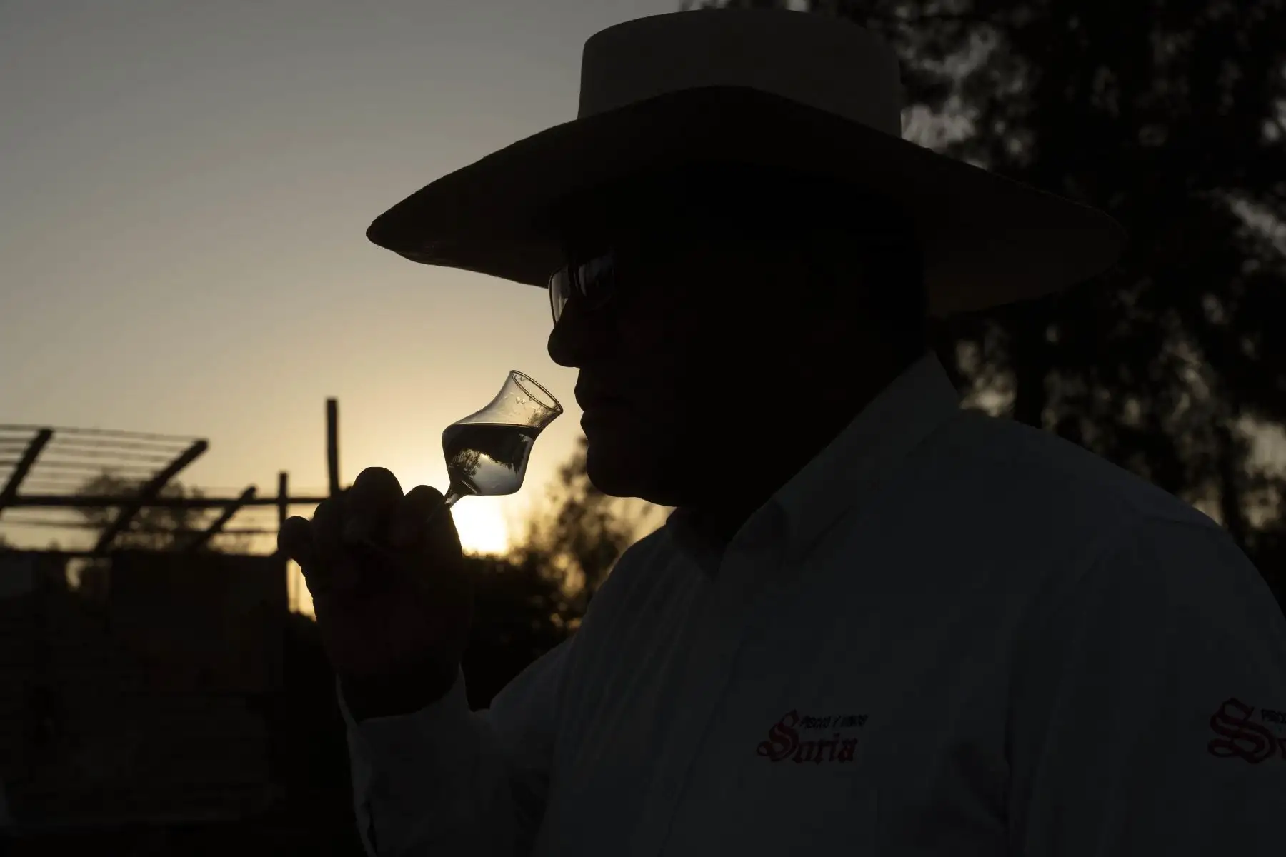 Con tradicional brindis en el campo ferial de Ica, la Asociación de Productores vitivinícolas de esta provincia, celebran hoy domingo 23 el Día Nacional del Pisco.
Foto: ANDINA/Genry Bautista