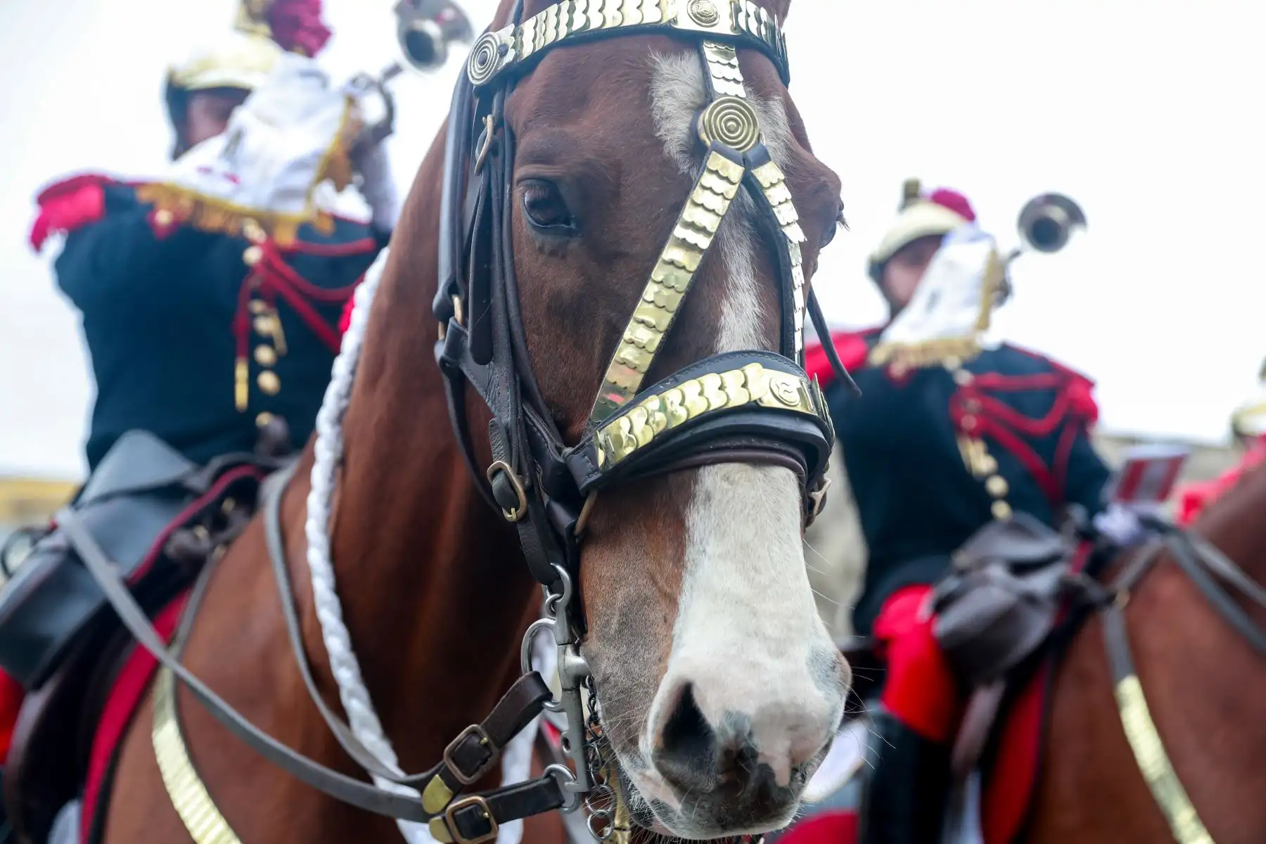 Tradicional cambio de guardia en Palacio de Gobierno
Foto: ANDINA/Prensa Presidencia