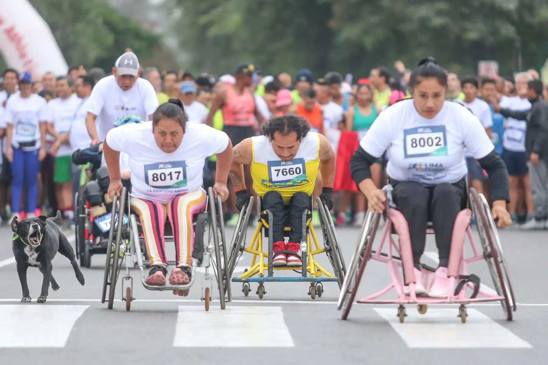 Tres mil participantes, entre atletas amateurs, elite y la ciudadanía en general de las categorías libre, máster, discapacidad visual, física y auditiva recorrieron una ruta de cinco kilómetros.
Foto: ANDINA/Difusión