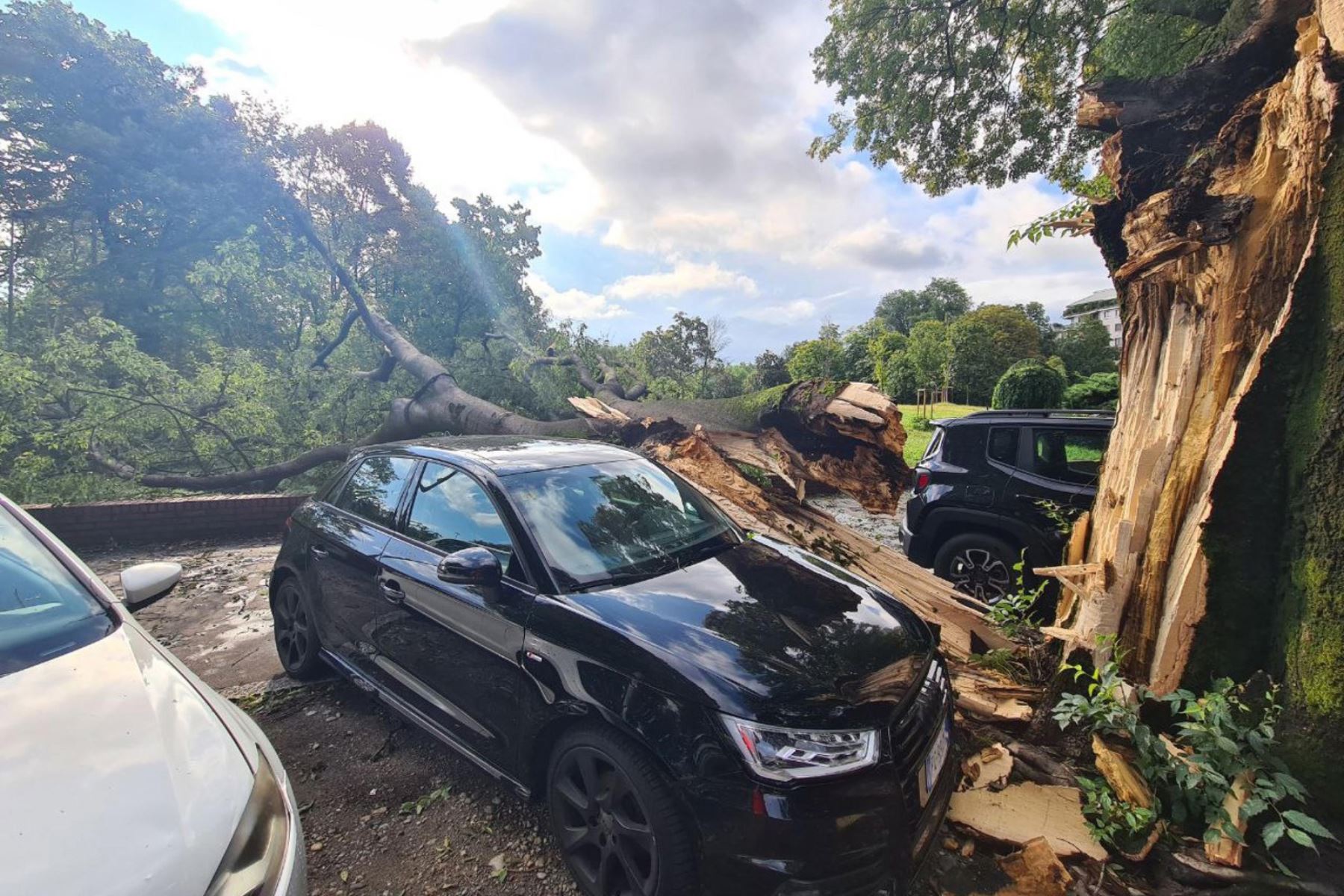 Un árbol talado yace entre automóviles estacionados después de que una fuerte tormenta derribara árboles y destruyera varios automóviles estacionados en Viale Molise, en Milán, Italia. Foto: EFE