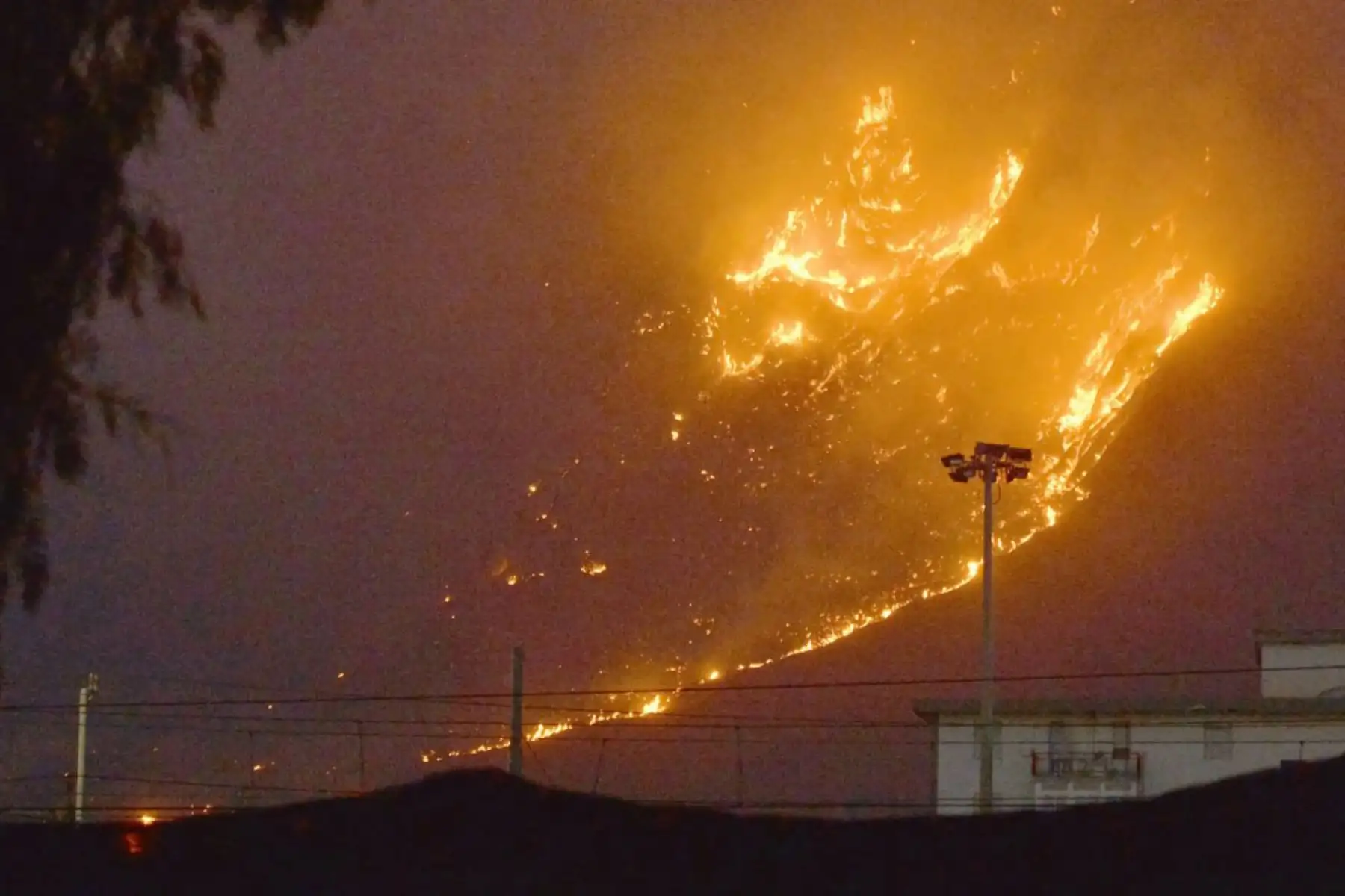 Incendio se extiende por las colinas en el área de Monte Grifone y la ciudad de Ciaculli alrededor de Palermo, Sicilia, con llamas que amenazan las casas cercanas. Foto: AFP