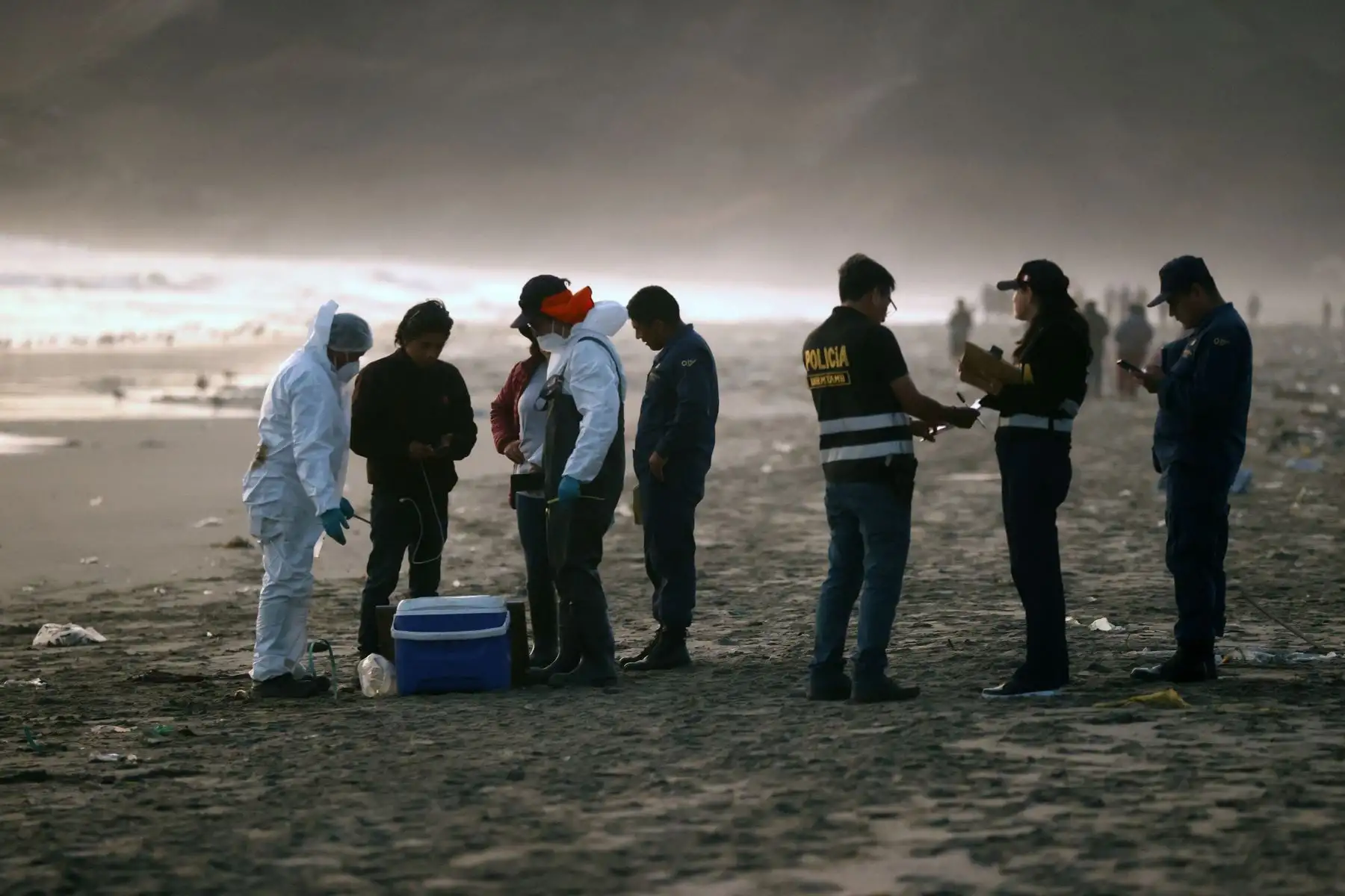 A través de un comunicado, el OEFA informó que está realizando acciones de supervisión por la presencia de hidrocarburos en las playas Cavero y Delfines, en el distrito de Ventanilla, provincia del Callao, vecino a Lima, tras las denuncias realizadas por vecinos y pescadores de la zona.
Foto: ANDINA/ Vidal Tarqui