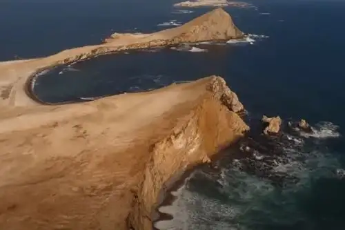 “Los jueces apostaron por la vida, el mar y el medio ambiente", consideró el preside de la Capatur. INTERNET/Medios.