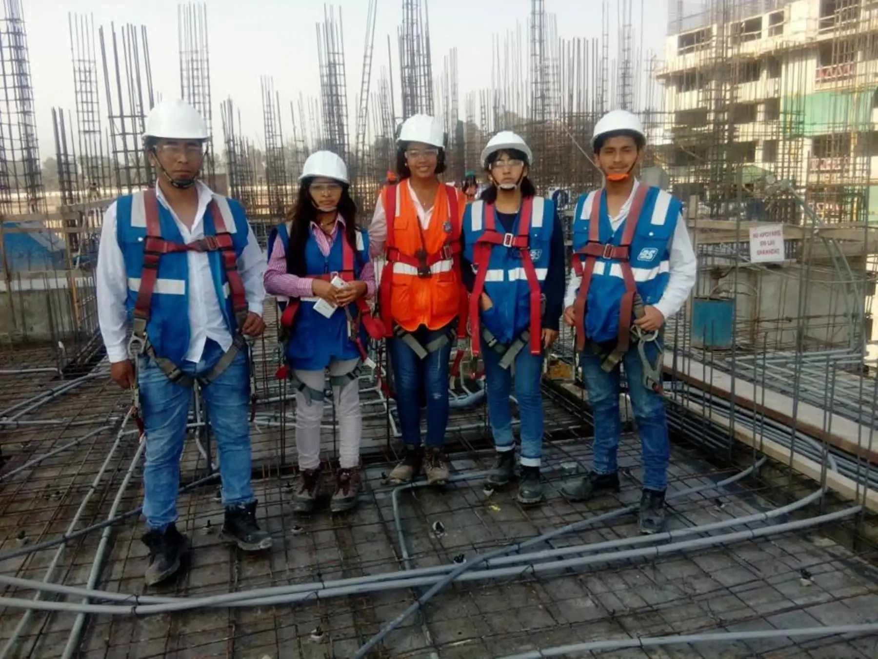Conoce en esta nota dónde estudiar y cómo puedes desempeñarte laboralmente. Foto: ANDINA/Difusión