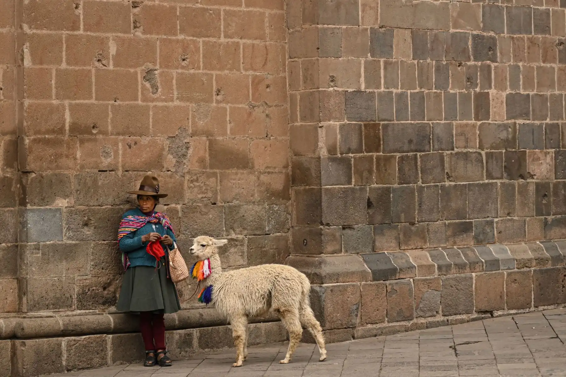 Una mujer indígena con una llama espera que los clientes sean fotografiados frente a la iglesia de La Merced en Cuzco el 21 de diciembre de 2022.
Foto: AFP