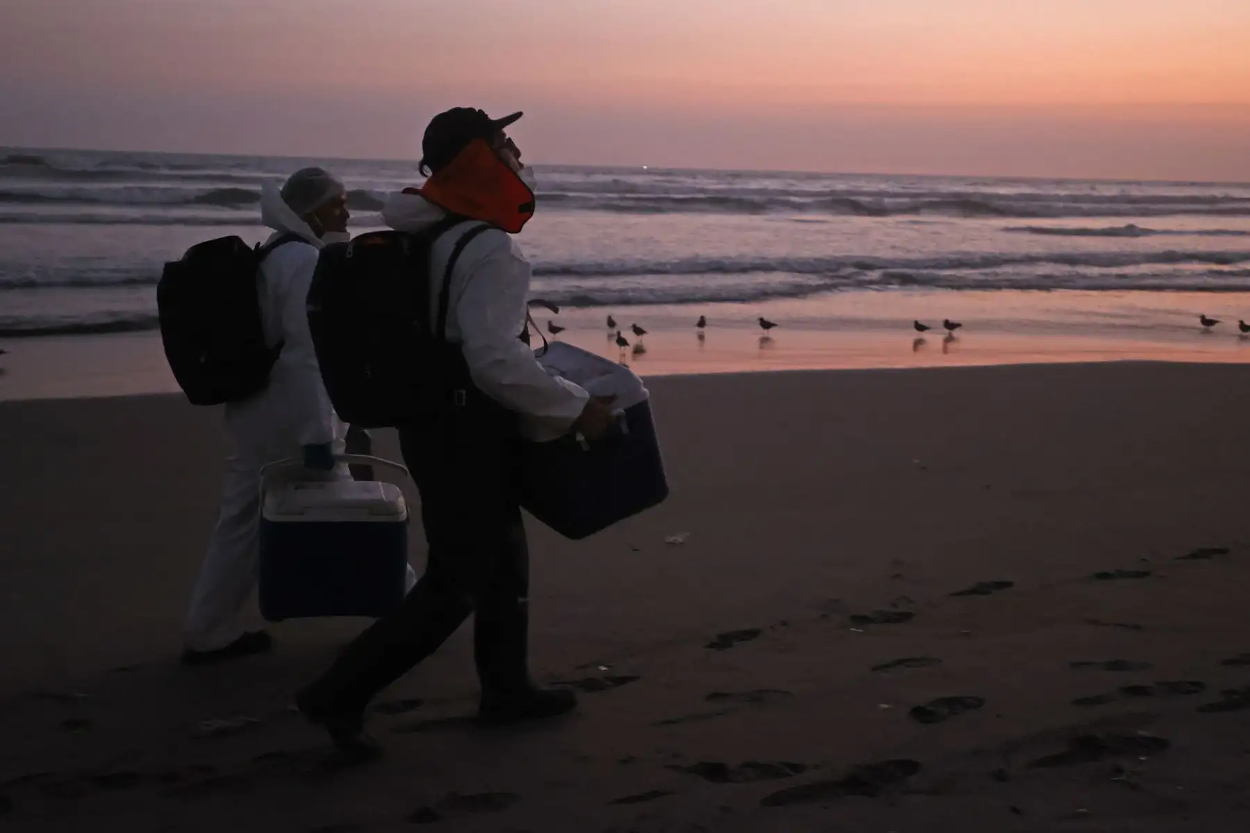 A través de un comunicado, el OEFA informó que está realizando acciones de supervisión por la presencia de hidrocarburos en las playas Cavero y Delfines, en el distrito de Ventanilla, provincia del Callao, vecino a Lima, tras las denuncias realizadas por vecinos y pescadores de la zona.
Foto: ANDINA/ Vidal Tarqui