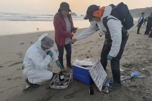 Especialista del OEFA llegaron a las playas Cavero y Los Delfines para sacar evaluar la presencia de petróleo reportada por pescadores. ANDINA/ OEFA.