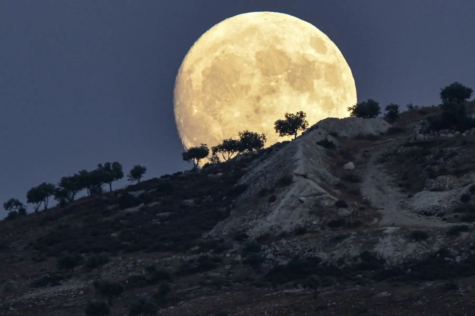 La luna gibosa creciente se eleva detrás de los árboles en una colina en Jindayris, en la parte controlada por los rebeldes de la provincia de Alepo, en el noroeste de Siria. Foto: AFP