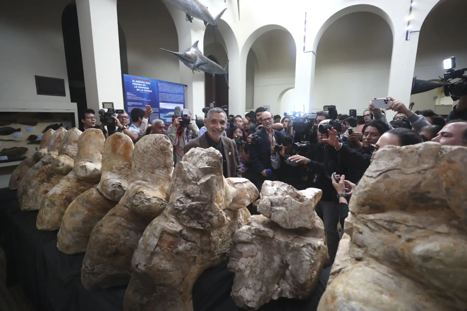 Presentación de los restos del PERUCETUS COLOSSUS, el animal más pesado que habitó el planeta. Mario Urbina, paleontólogo y descubridor del fósil.  

Foto: ANDINA/Juan Carlos Guzmán Negrini