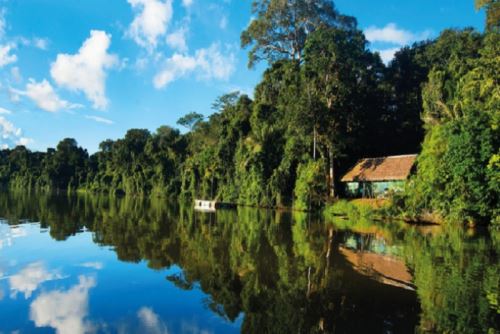 Especialistas de diversos países evalúan las estrategias para salvar a la Amazonía y mitigar el impacto ambiental. ANDINA/Difusión